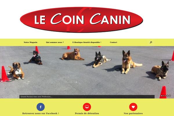coincanin.fr site used Vantage