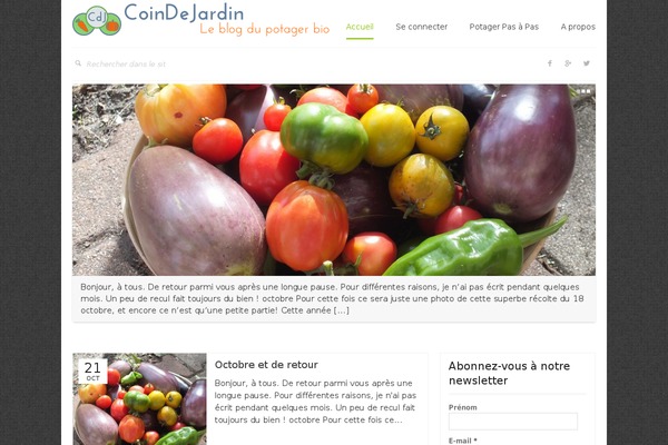 Silicon theme site design template sample