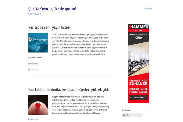 Make theme site design template sample