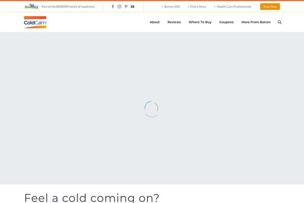 Thegem-child theme site design template sample