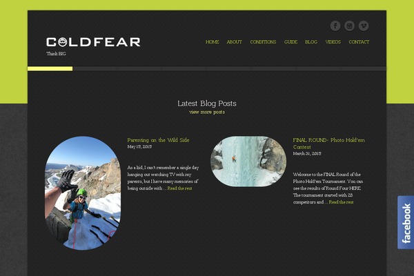 Site using Salient-social plugin