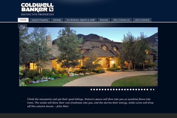PureVISION theme site design template sample