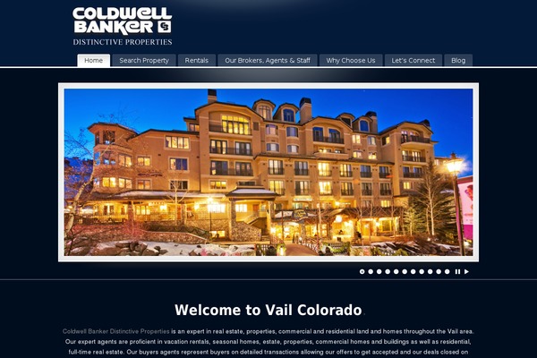 PureVISION theme site design template sample