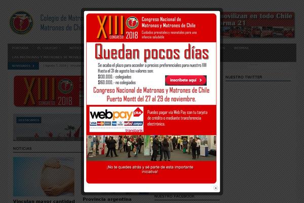 colegiodematronas.cl site used MH Magazine