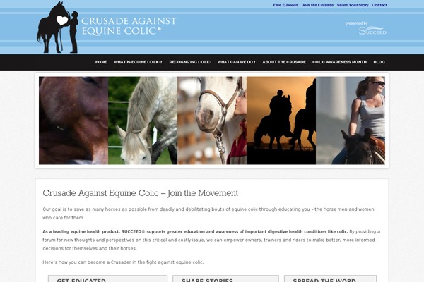 Helios theme site design template sample