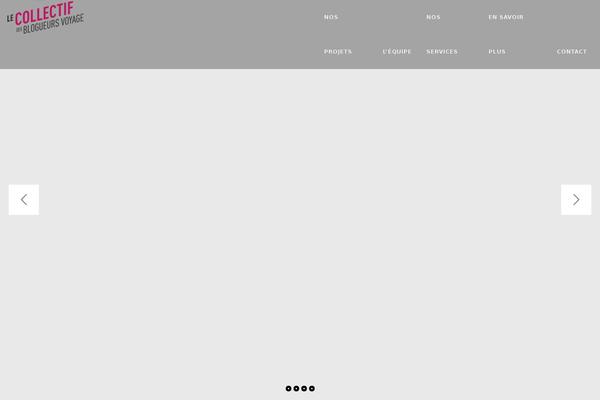 collectif-blogueurs-voyage.fr site used Rara Business