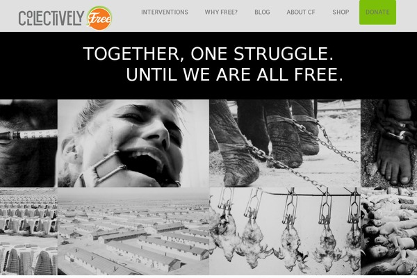 Kause theme site design template sample
