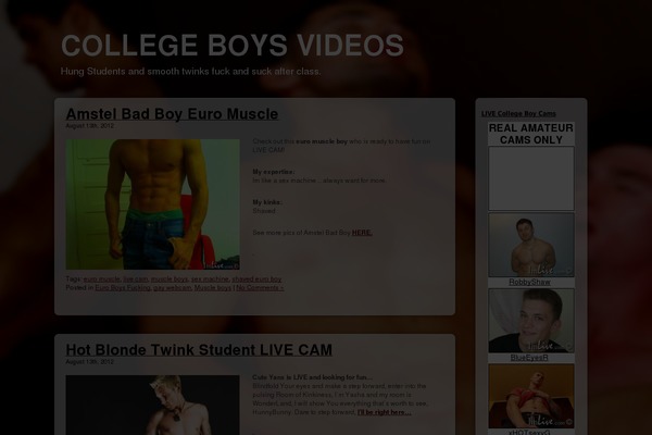 Glossy Stylo theme site design template sample