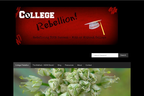 Site using WP Bulletin Board plugin