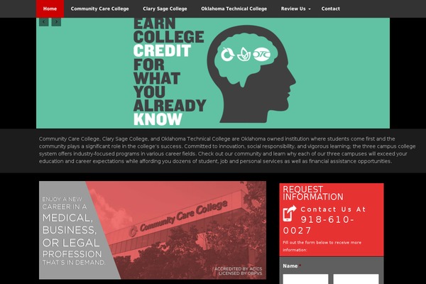 DMS theme site design template sample