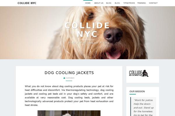 Wp-starter theme site design template sample