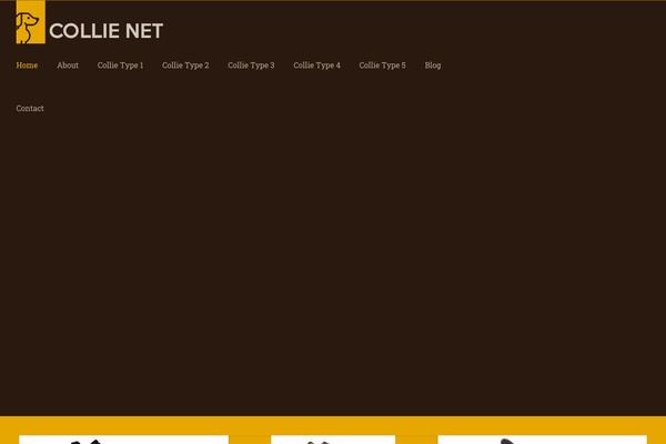 Site using Wp-show-posts plugin
