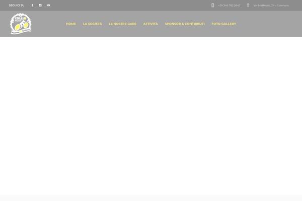 Site using Wp-popups-lite plugin