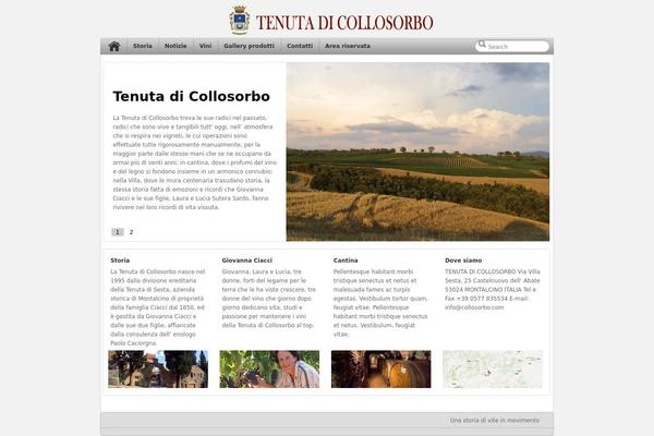application theme site design template sample