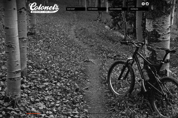 Fullscene theme site design template sample