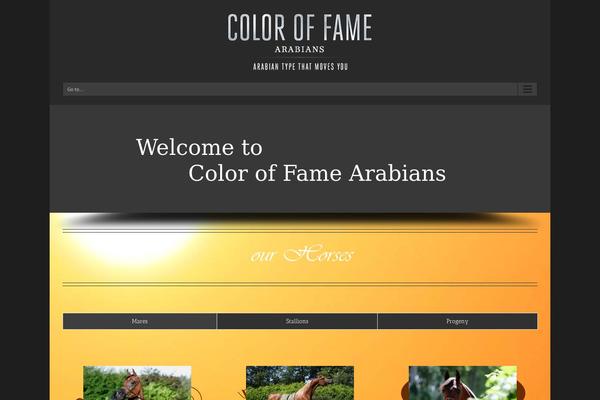 Avada theme site design template sample