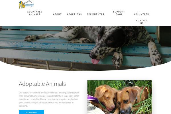 One Page Express theme site design template sample