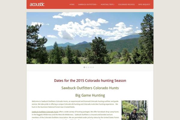 Acoustic theme site design template sample
