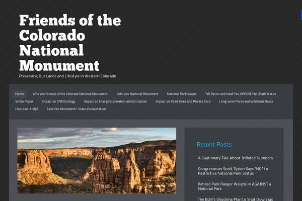 Teal theme site design template sample