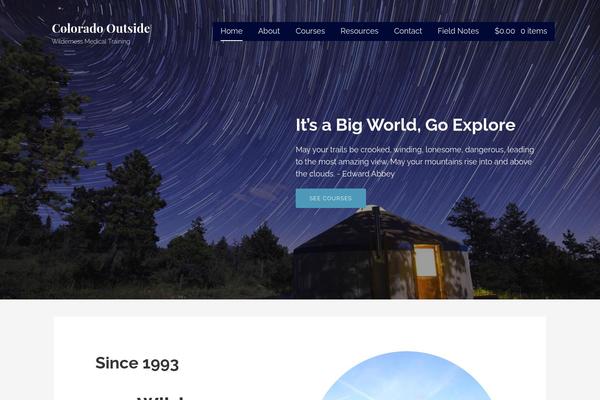 Site using GoDaddy Email Marketing plugin