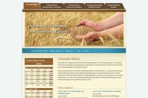 Colorado theme site design template sample