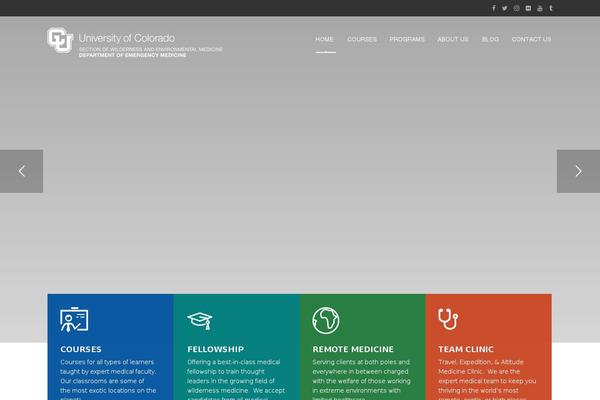 Masterstudy-child theme site design template sample