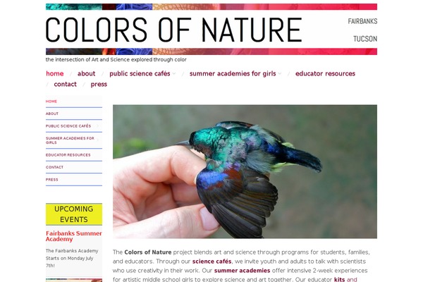 Site using Ultimate-blocks plugin