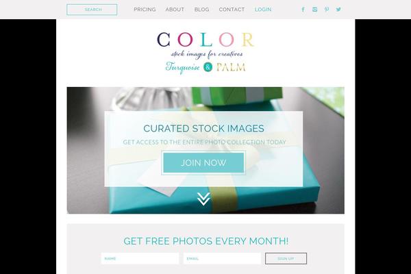 chanel-theme theme websites examples