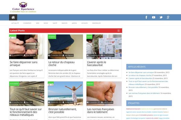 ProMax theme site design template sample