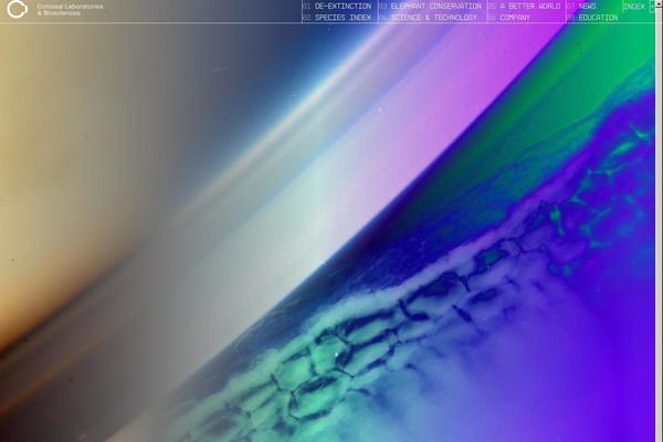 Colossal theme site design template sample