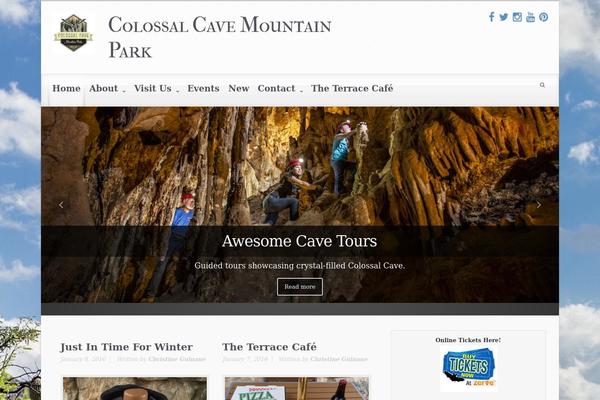 evolve theme site design template sample