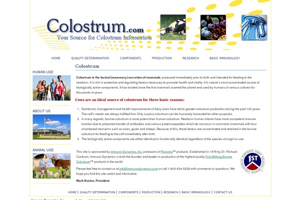Corporate theme site design template sample