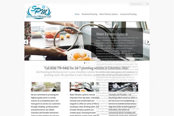 Chameleon theme site design template sample
