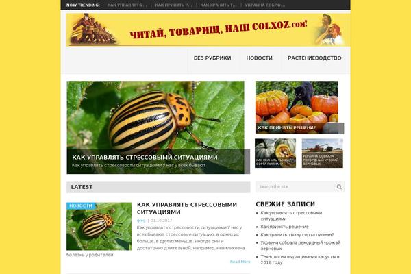 Site using WP Review plugin