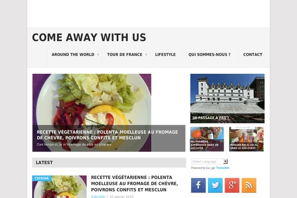Point theme site design template sample