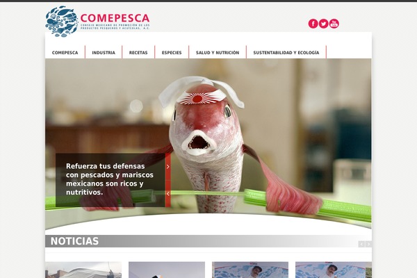 comepesca.com.mx site used SmartStart