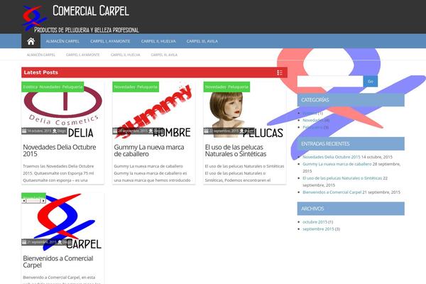 ProMax theme site design template sample