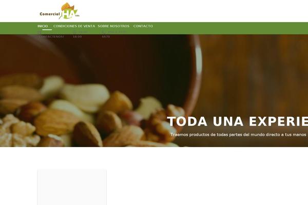 Activello theme site design template sample