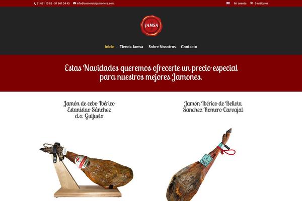 Divi2 theme site design template sample