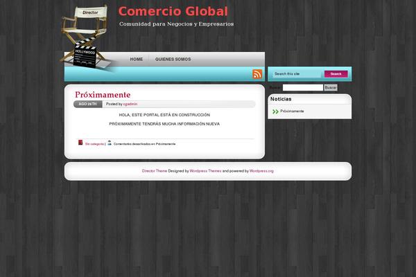 Director theme site design template sample