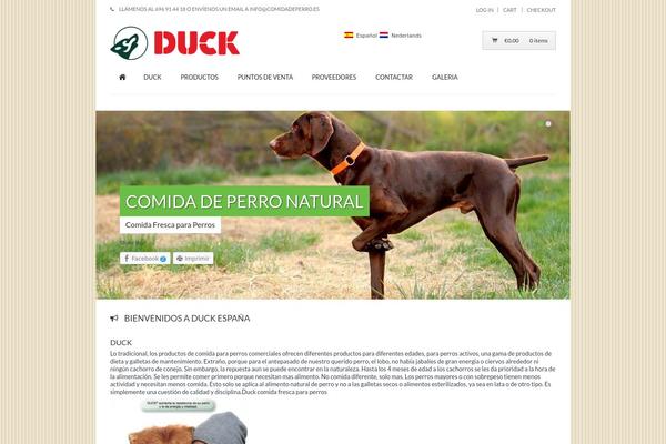 Kaching theme site design template sample