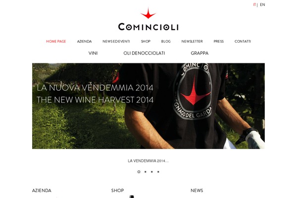 Vino theme site design template sample