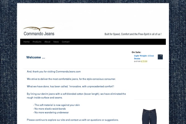 Twenty Ten theme site design template sample
