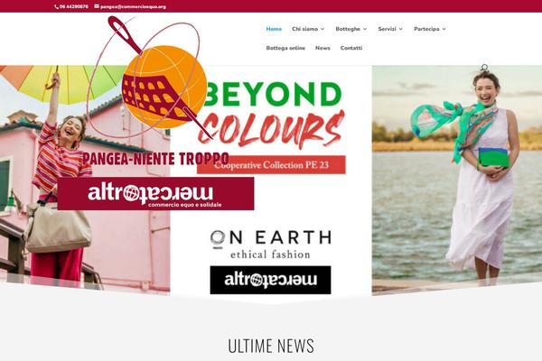 divi-2017 theme websites examples