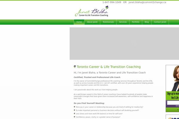 Avamys theme site design template sample