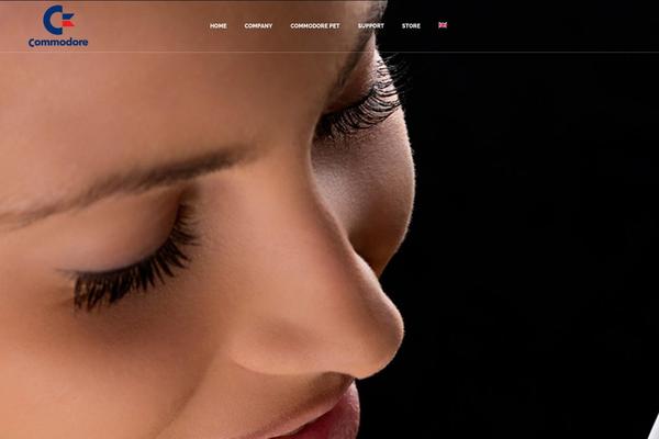 Commodore theme site design template sample
