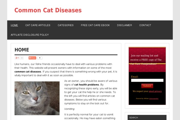 Dynamic News Lite theme site design template sample