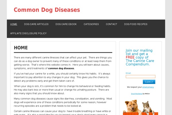 Dynamic News Lite theme site design template sample