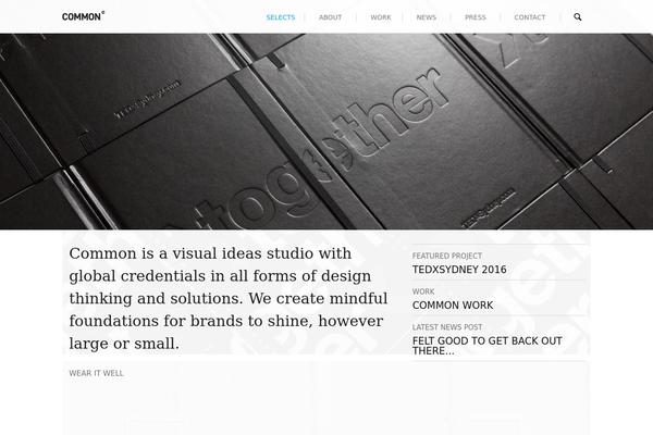 Common theme site design template sample