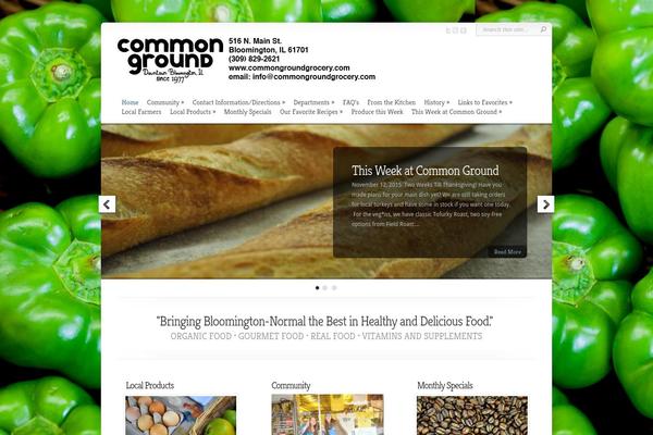 Chameleon theme site design template sample